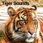 tiger sounds android application logo